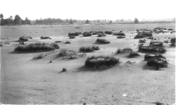 Postcard photo of the Big Prairie Desert