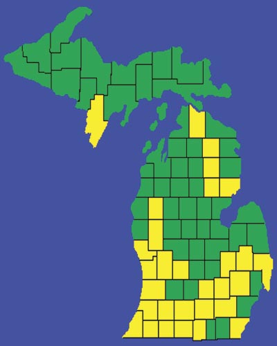 Michigan counties (in yellow) that had prairies - Copyright 1998 Big Prairie Publishing