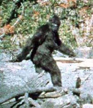 Classic Patterson-Gimlin Picture