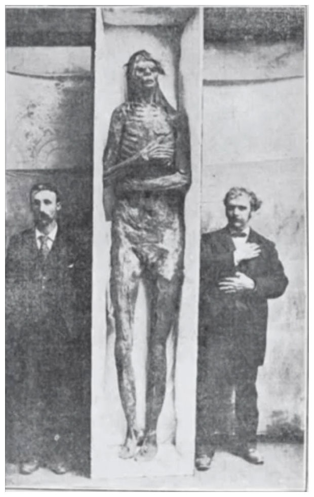 The San Diego Giant of 1895